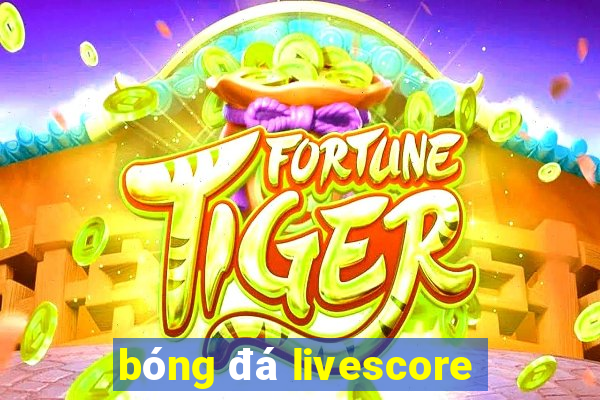 bóng đá livescore