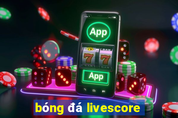 bóng đá livescore