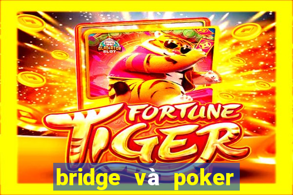 bridge và poker là gì