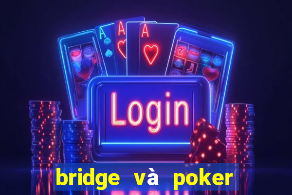 bridge và poker là gì