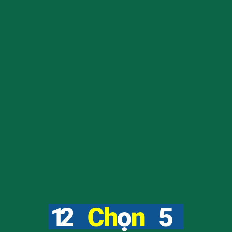 12 Chọn 5 Nhiệm kỳ Bốn