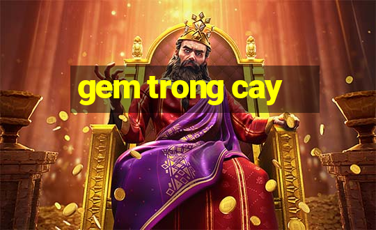 gem trong cay