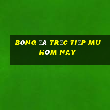 bóng đá trực tiếp mu hôm nay