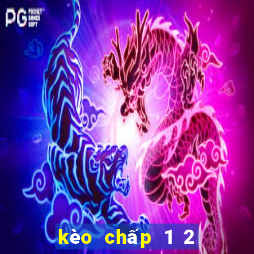 kèo chấp 1 2 là gì