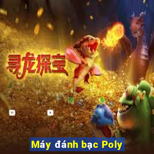 Máy đánh bạc Poly