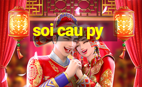 soi cau py