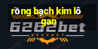 rồng bạch kim lô gan