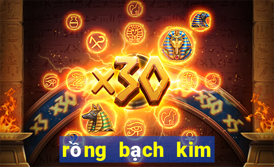 rồng bạch kim lô gan