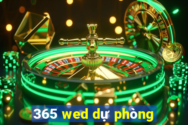 365 wed dự phòng