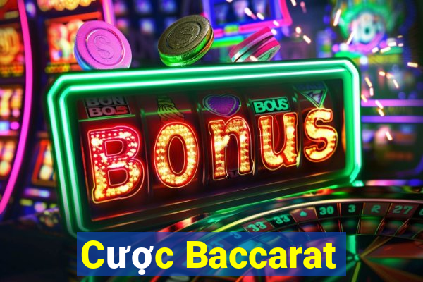 Cược Baccarat