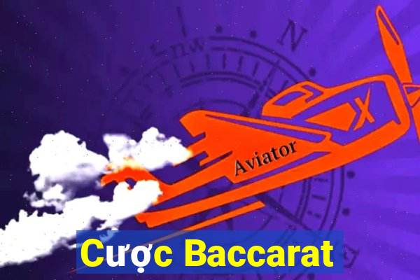 Cược Baccarat