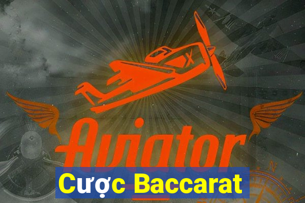 Cược Baccarat