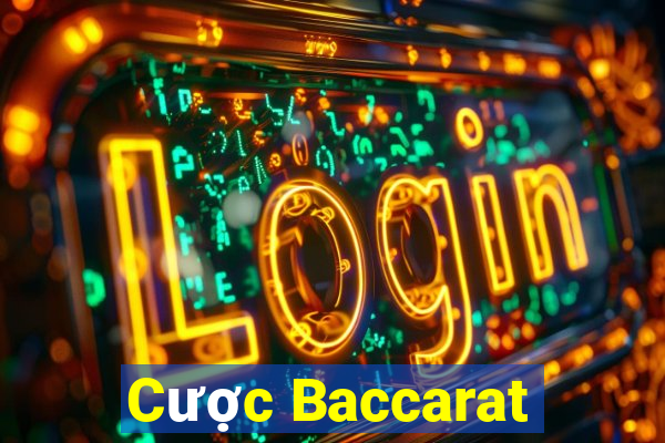 Cược Baccarat