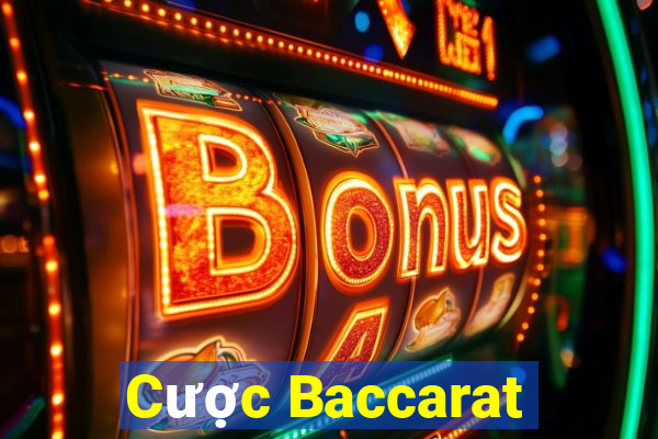 Cược Baccarat