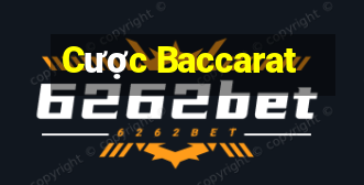 Cược Baccarat