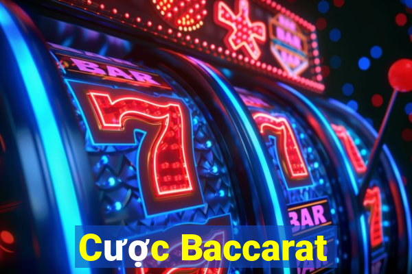 Cược Baccarat