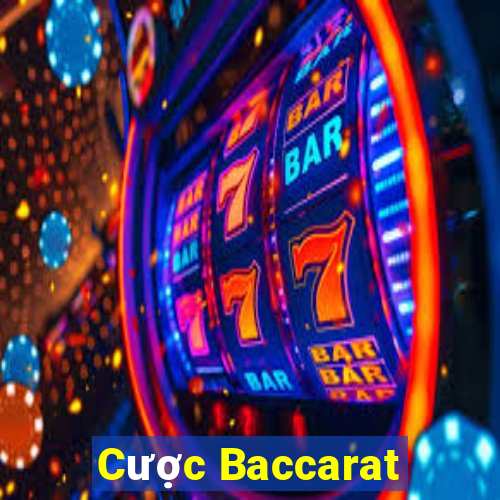 Cược Baccarat