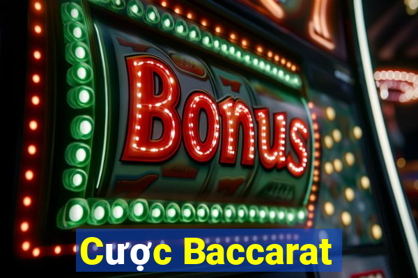 Cược Baccarat