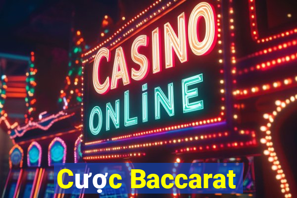 Cược Baccarat