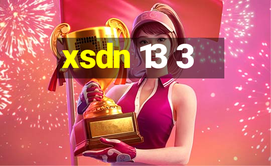 xsdn 13 3