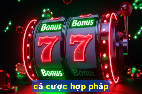 cá cược hợp pháp