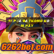 tiếp đá gà thomo hôm nay