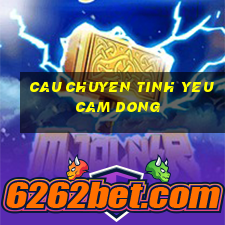 cau chuyen tinh yeu cam dong