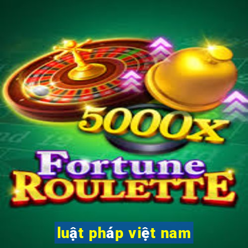 luật pháp việt nam