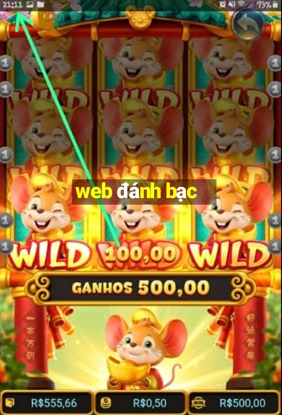 web đánh bạc