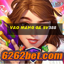 vao mang ga sv388