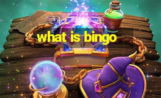 what is bingo