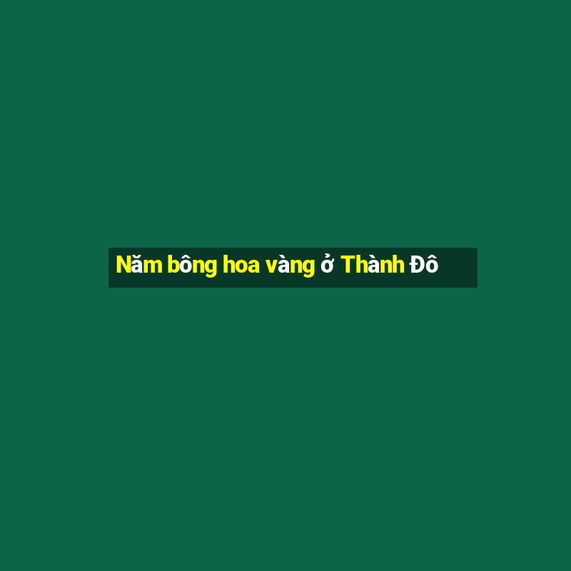 Năm bông hoa vàng ở Thành Đô