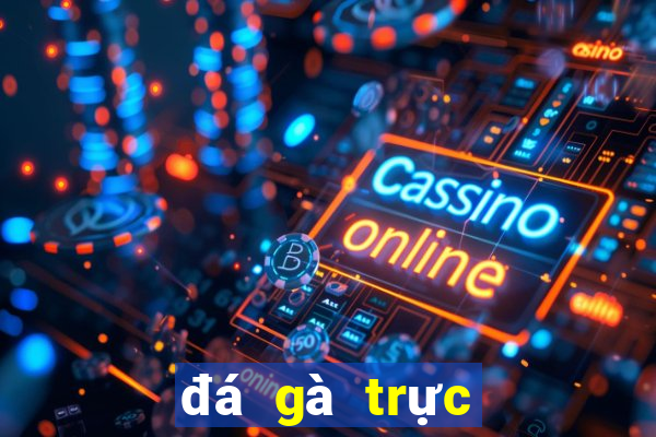 đá gà trực tiếp 88.com