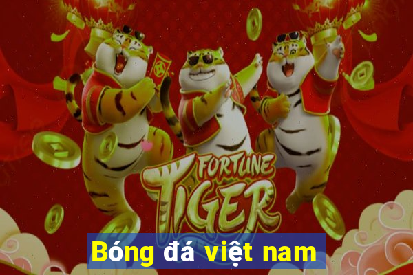 Bóng đá việt nam