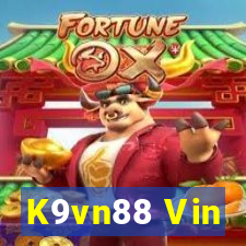 K9vn88 Vin