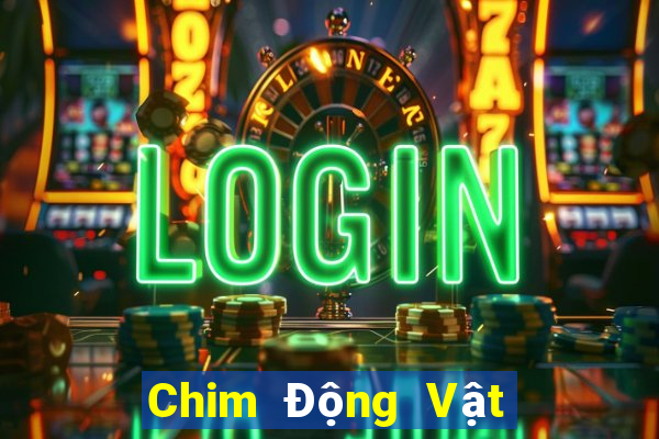 Chim Động Vật Sư Tử Đại Bàng