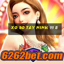 xo so tay ninh 11 8