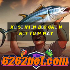 xổ số miền bắc chủ nhật tuần này