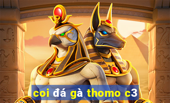 coi đá gà thomo c3