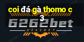 coi đá gà thomo c3