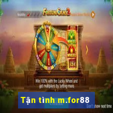 Tận tình m.for88