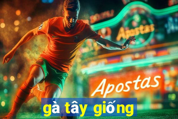 gà tây giống