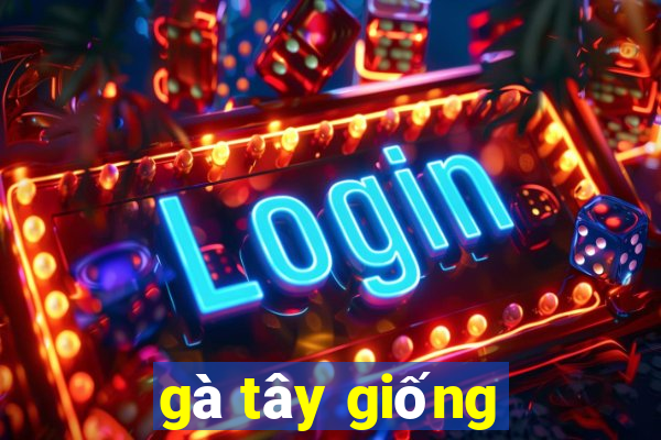 gà tây giống