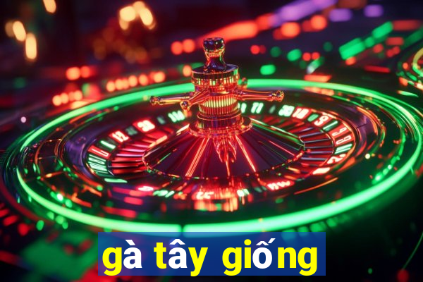 gà tây giống