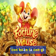 con hoán là con gì