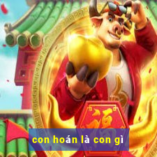 con hoán là con gì