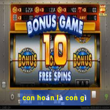 con hoán là con gì