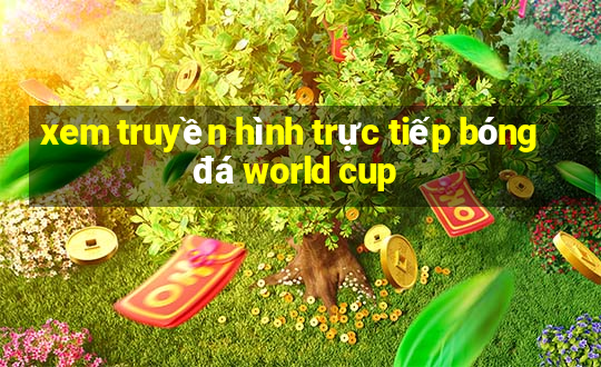 xem truyền hình trực tiếp bóng đá world cup