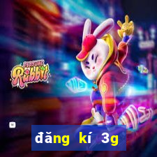 đăng kí 3g của vina