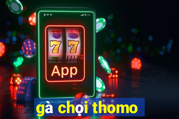 gà chọi thomo